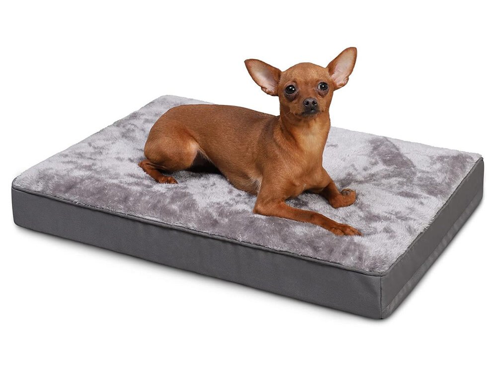 o1cn018wcvjx1p6kk9kojww !!2217537101791 0 cib